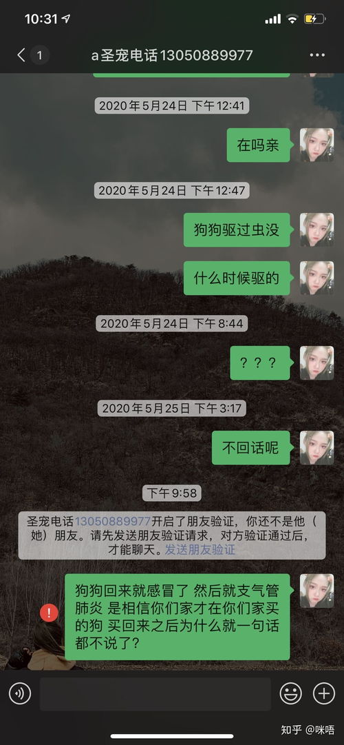 怎么通过直播卖宠物猫