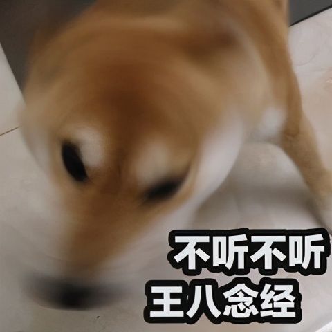 宠物狗脾气倔怎么办啊