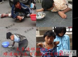 人贩子拐卖宠物狗怎么处理