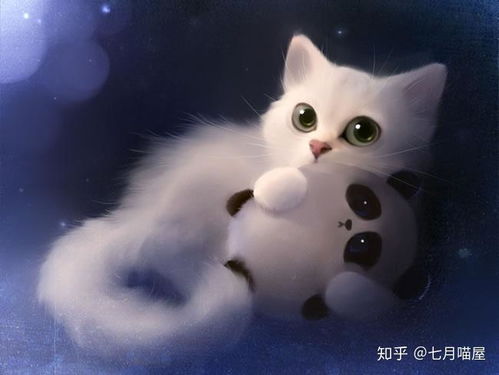宠物猫出行怎么携带