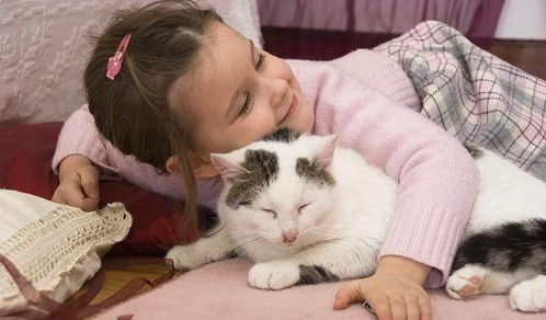 农村的宠物猫怎么驯服