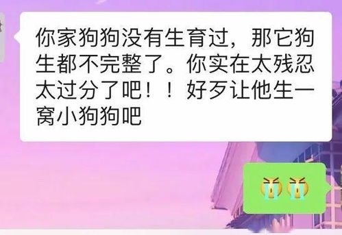 宠物狗避孕药怎么吃的啊