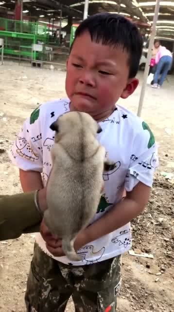 父母不给买宠物狗怎么办