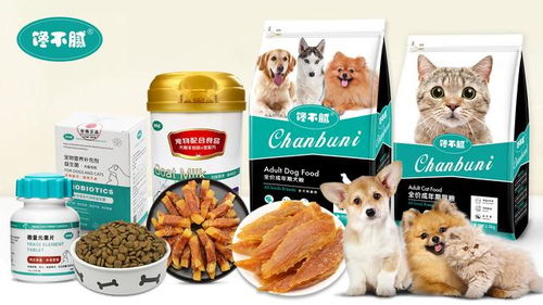 宠物猫粮怎么用好