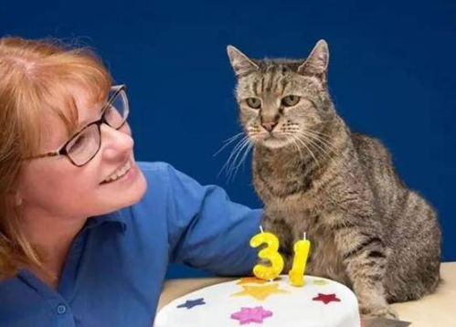 猫的寿命是多少年