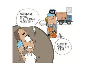 邮寄的宠物狗怎么寄的快