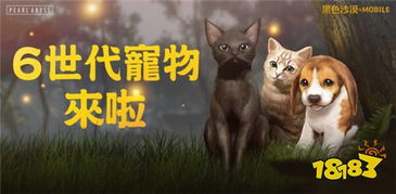 黑色沙漠宠物狗怎么弄的