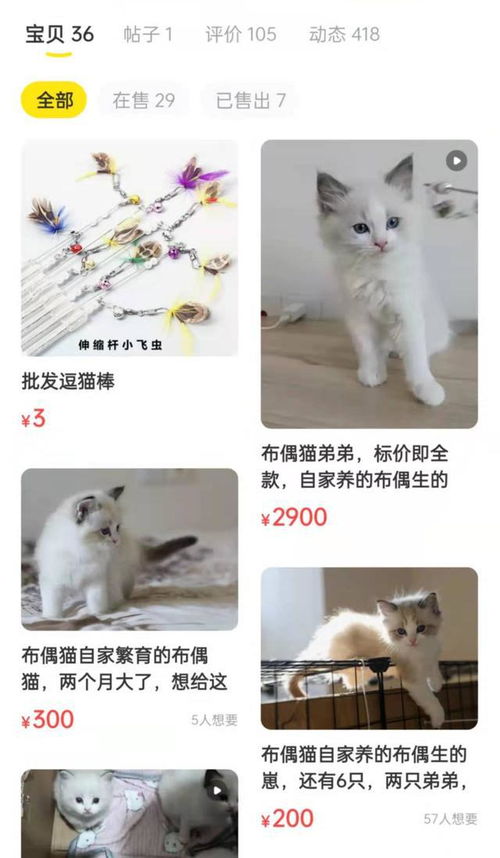 在闲鱼上怎么去卖宠物猫