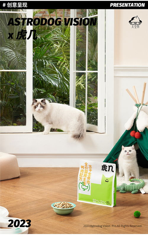 宠物猫粮拍照怎么拍