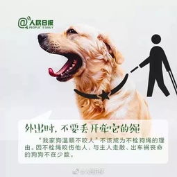 给宠物狗做绳子怎么做