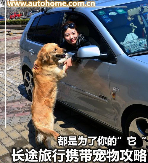 长途汽车怎么带宠物狗的