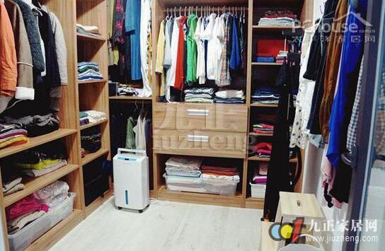 宠物猫衣服怎么收纳的