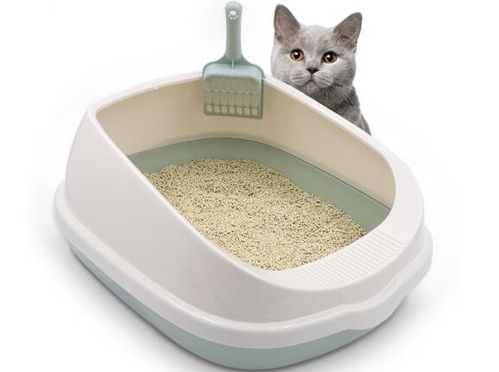 宠物狗用猫砂盆怎么用的