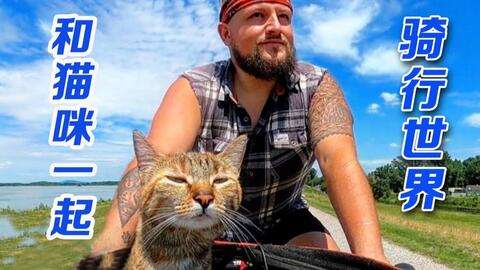 怎么带宠物猫出行安全