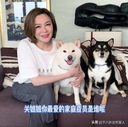 家婆炖宠物狗怎么办啊