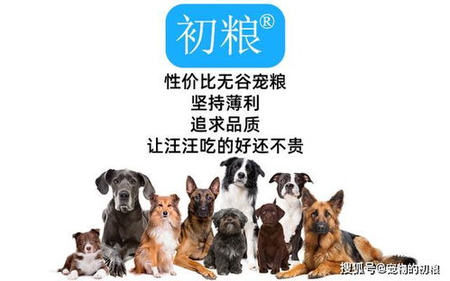 中东宠物狗粮怎么样啊