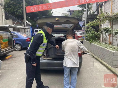 警察遇见宠物狗怎么办呢