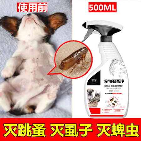 宠物狗跳蚤药怎么用的啊