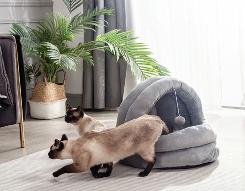 宠物猫窝