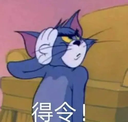 宠物猫怎么有跳骚