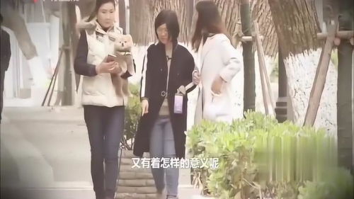 宠物狗走失回家怎么办呢