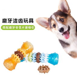 宠物狗吃玩具会怎么样吗