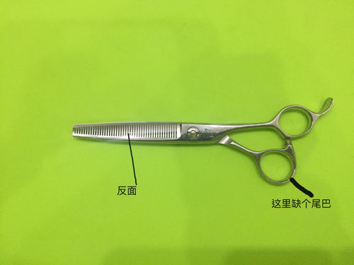 宠物狗造型剪刀怎么做的