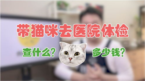 医院给猫体检多少钱
