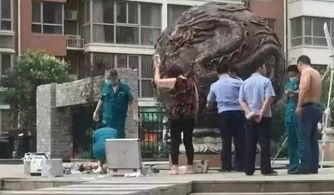 三人溺亡宠物狗怎么办理