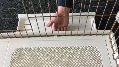 宠物猫笼怎么安装