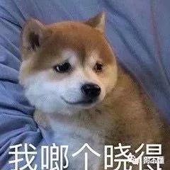 怎么给宠物狗涂驱虫药呢