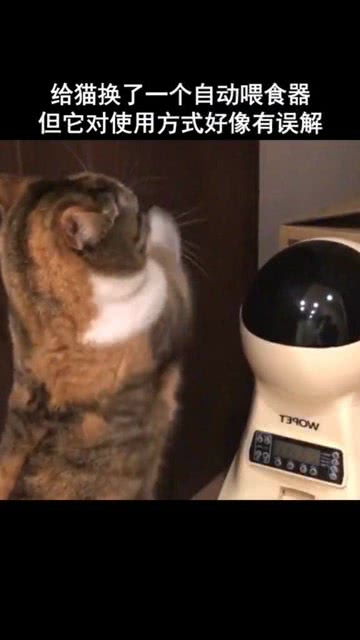 宠物猫喂食器怎么使用