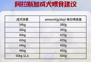 宠物狗的食量怎么样计算