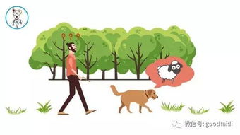 宠物狗吃草怎么回事儿啊