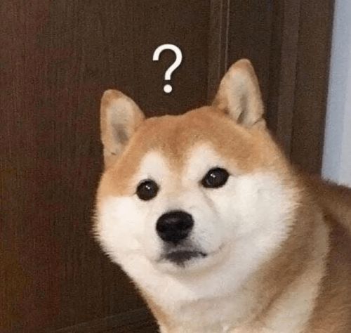 宠物狗吃了虾头怎么办