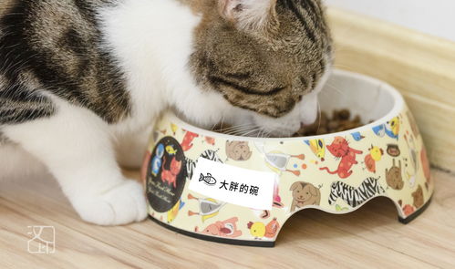 宠物猫标签怎么打印
