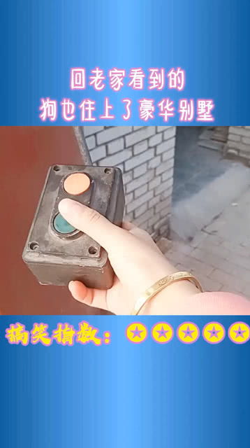 宠物狗怎么拿回老家住呢