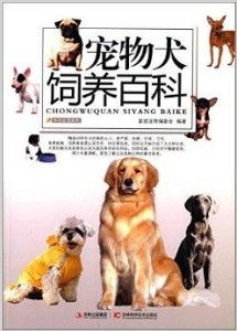 家庭养羊宠物狗怎么养的