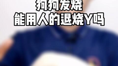 宠物狗的退烧药怎么吃的
