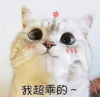 床单有宠物猫怎么消毒