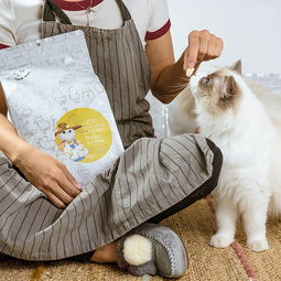 宠物猫怎么包裹