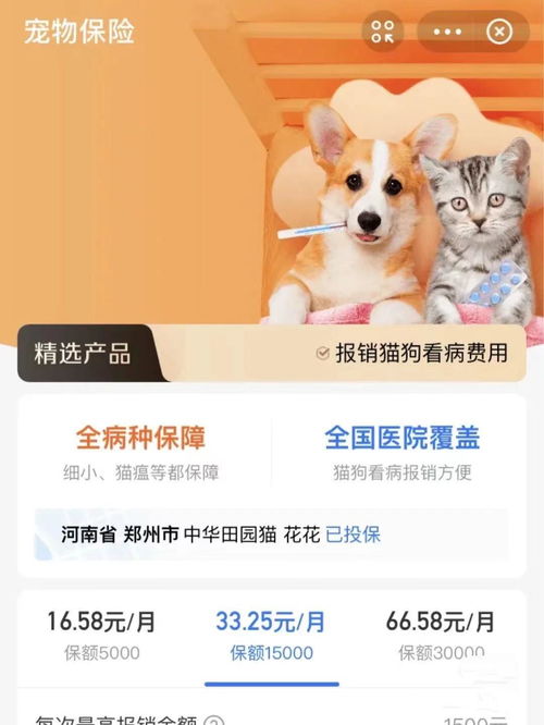 邹平宠物猫看病怎么样