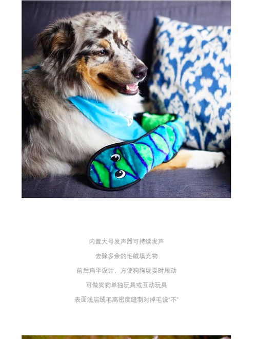 宠物狗耐咬玩偶怎么办啊