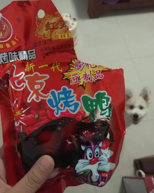 宠物狗零食条怎么吃好呢