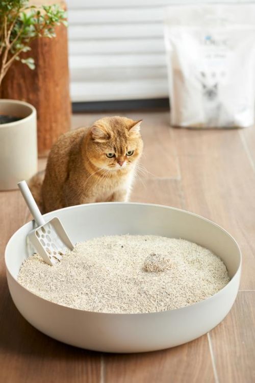 扒皮宠物猫砂怎么用