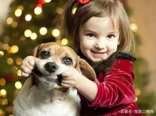 用小孩做宠物狗怎么做的