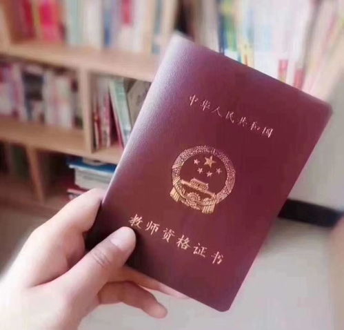 宠物猫洗护师证怎么考的