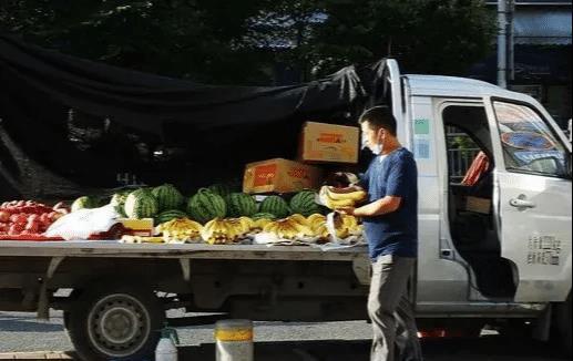 小货车上卖宠物狗怎么样