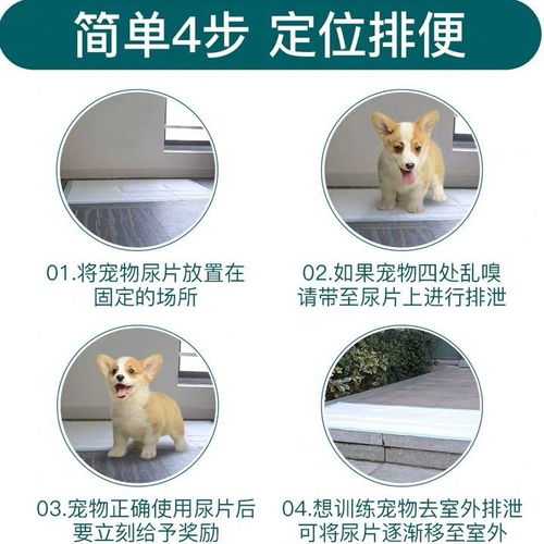 宠物狗吸水垫怎么用的啊
