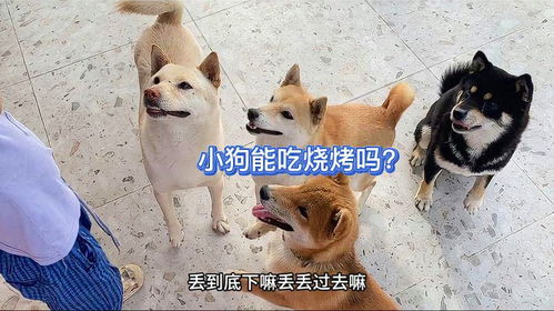 宠物狗吃烧烤会怎么样